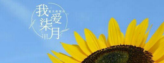 流光已过，再见七月
