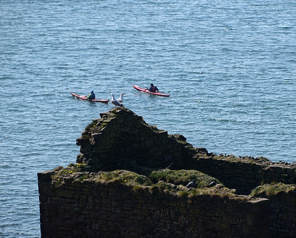 山东海域发现了全国第一个海底煤矿、国内唯一的滨海巨型金矿田